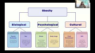 Hsc 5178 Obesity Reflection Map