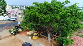 Aerial View of Tapovan School screenshot 1