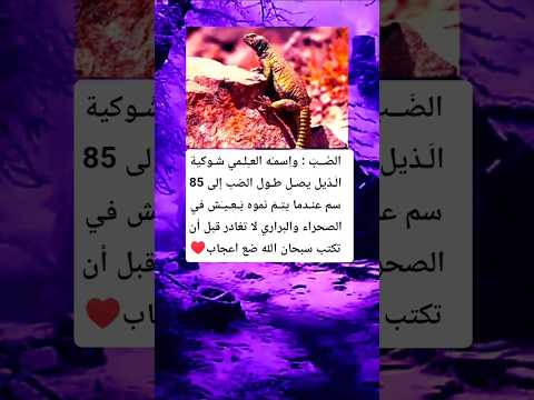 ا غ رب م ع لوم ه ي م كن أن تس معها عن الض ب معلومات حقائق اكسبلور معلومات لايك