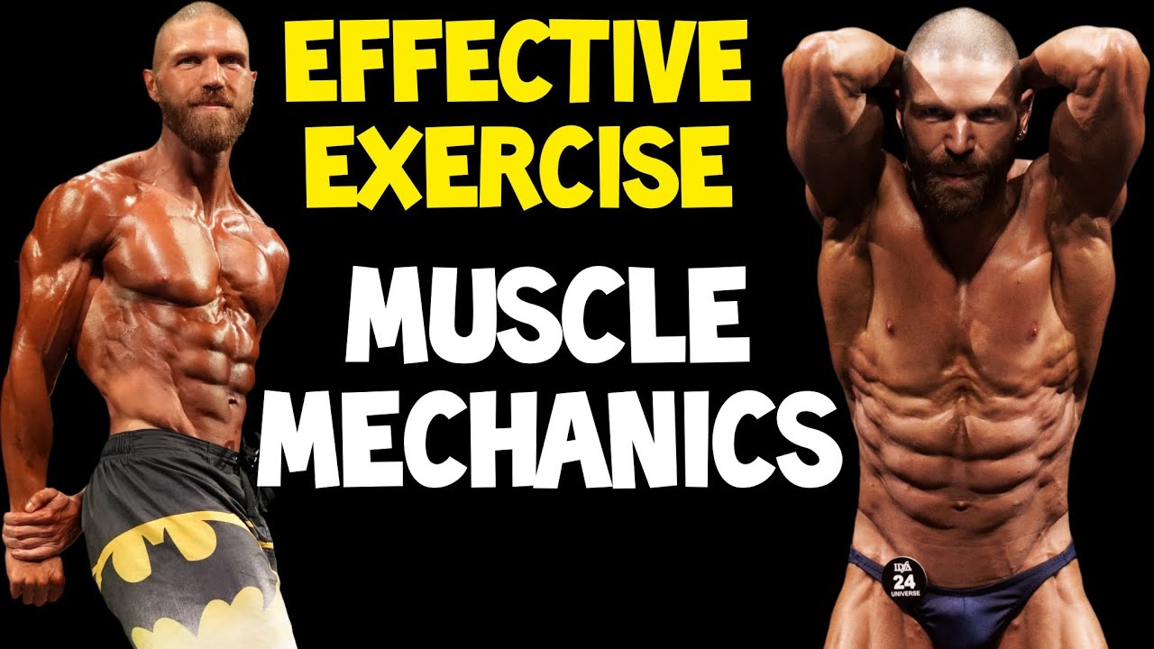 Understanding Passive Insufficiency in Biomechanics: Anatomy and Functional Implications