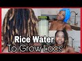 Rice Water On Locs - Part 1 | Growing Longer Locs | #KUWC