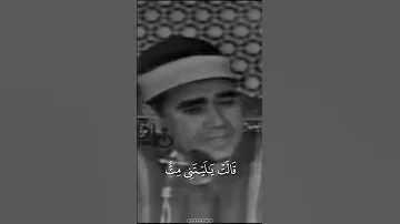 ف أ ج اء ه ا ال م خ اض إ ل ى ج ذ ع الن خ ل ة سورة مريم للقارئ المبدع راغب مصطفي غلوش قرآن 