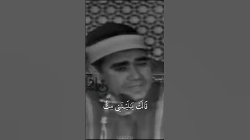 (فَأَجَاءَهَا الْمَخَاضُ إِلَىٰ جِذْعِ النَّخْلَةِ) سورة مريم || للقارئ المبدع راغب مصطفي غلوش #قرآن