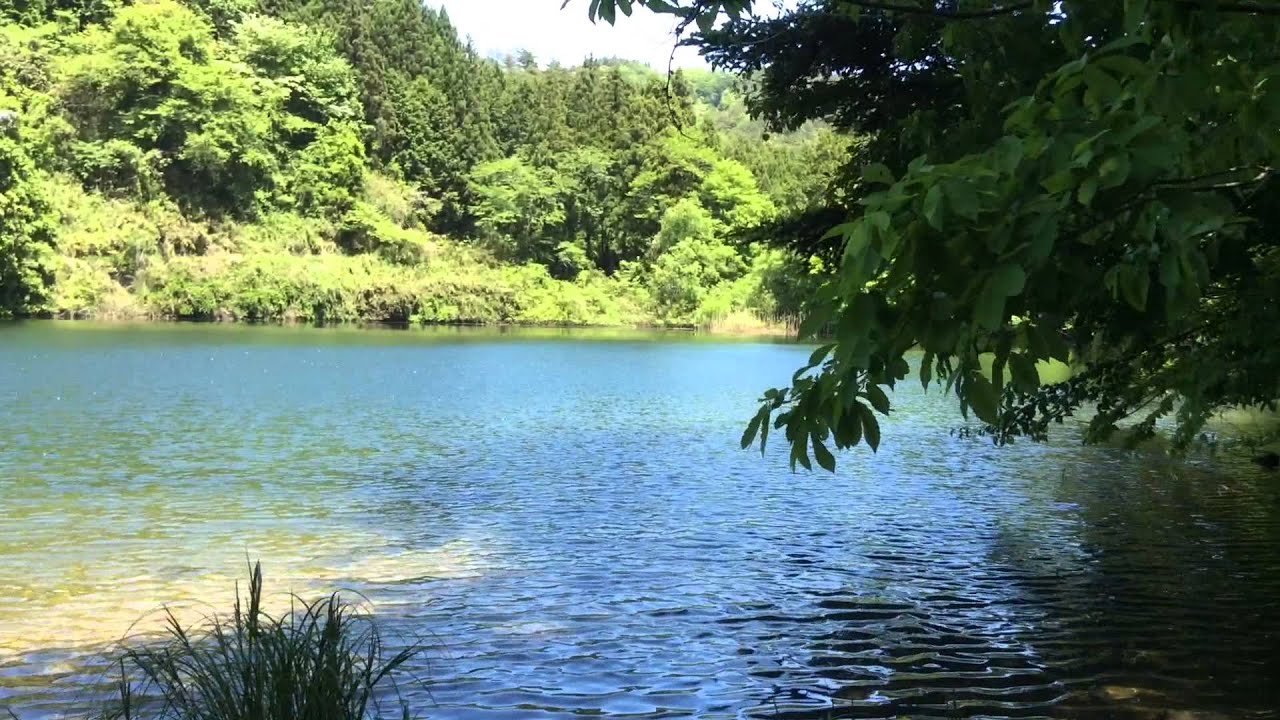 PEACE FARM 2015 5月6月 YouTube