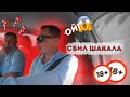 Сбил шакала / не обычные будни таксиста Яндекс Go