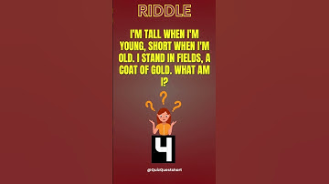 Riddles|| #shorts #reels  #brainteasers #quiz #trivia
