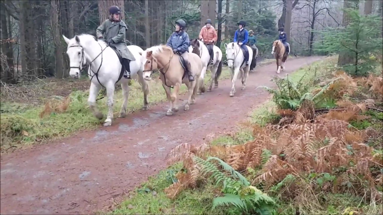 A Wee dander in Tollymore Forest Park County Down Ulster Ireland