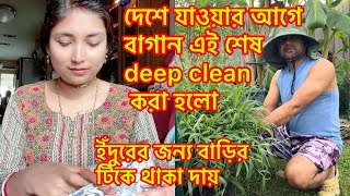 দেশে যাওয়ার আগে বাগান এই শেষ deep clean  করা হলো/ইঁদুরের জন্য বাড়ির টিকে থাকা দায়#Riyausa