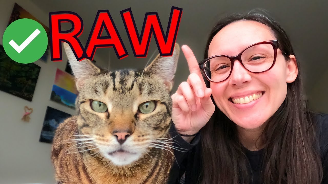 Kibble VS raw according to these vets YouTube