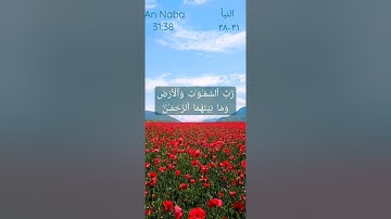 ان للمتقين مفازا حدائق واعنبا وكواعب اترابا وكاسا دهاقا سورة النبأ سعد الغامدي surah An Naba 31:37