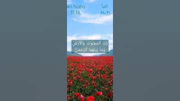 ان للمتقين مفازا حدائق واعنبا وكواعب اترابا وكاسا دهاقا سورة النبأ سعد الغامدي surah An Naba 31:37