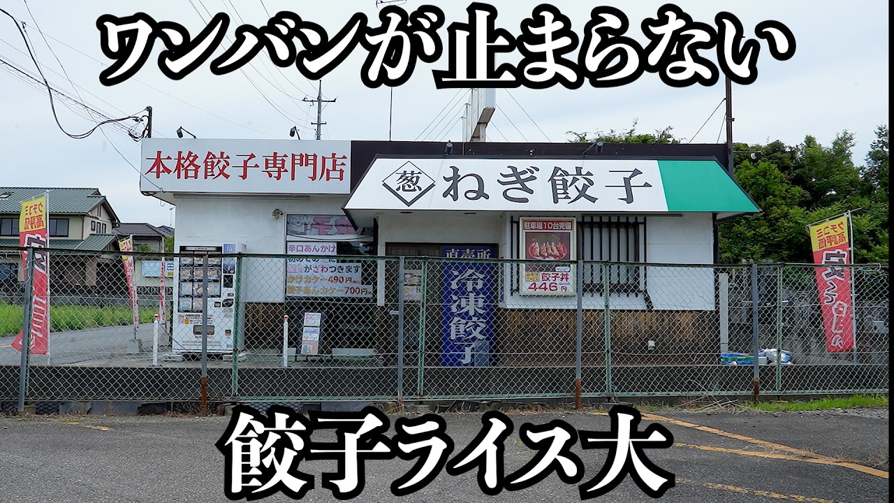 Unconventional] With a large serving of rice and gyoza in each