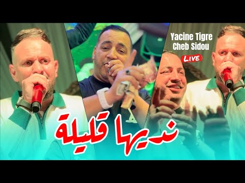      نديها قليلة 3       2025