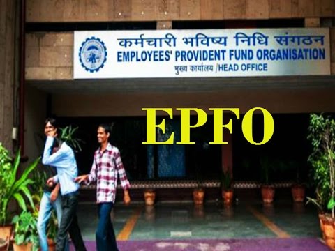 how-to-login-epfo-member-portal-!!-how-to-create-account-member-portal