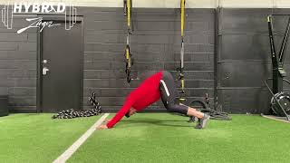 Baseball Yoga Pushup