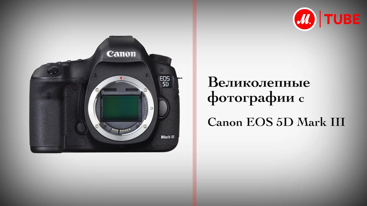 Фотоаппарат зеркальный Canon EOS 5D Mark III
