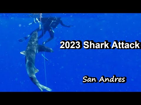 2023 Oceanic Whitetip (Longimanus) Shark Attack Freediver fights shark