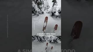 Encontró A Su Mejor Amigo Bajo La Nieve Upsocl