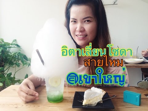 Molly Vlog | เที่ยวเขาใหญ่ ร้านกาแฟ เบิร์ดลอร์ด คาเฟ่ ไร่องุ่น เดอะบลูมทีวีพูล