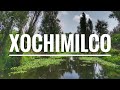 El Xochimilco que NO conocías, un relajante paseo por las chinampas y cultivos de Cuemanco