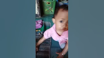 Thumbnail of cemong semua #music #song #singer