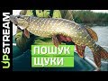 Річка СТИР. У пошуках ЩУКИ / Река Стырь. В поисках щуки | UPSTREAM