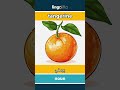 Tangerine يوسفي Learn English دعنا نتعلم الإنجليزية