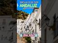 MAGNÍFICA SEVILLANA para ANDALUCÍA, ORGULLO de SER ANDALUZ, TIERRA más BONITA MUNDO #sevillanas2026