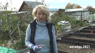 видео: Зеленый сад фильм № 358  картинка: Зеленый сад фильм № 358