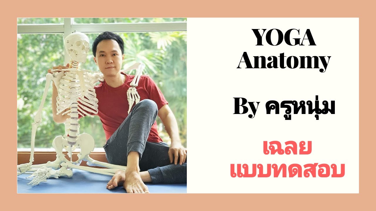 ข้อสอบ ผัง งาน โปรแกรม พร้อม เฉลย  Update  Yoga Anatomy By ครูหนุ่ม : เฉลยแบบทดสอบ ความรู้ทางอนาโตมี่