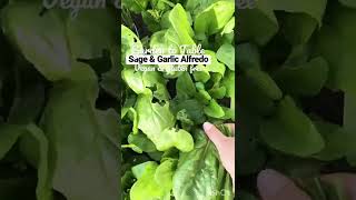 Garden to Table Sage &amp; Garlic Alfredo (vegan &amp; gf)