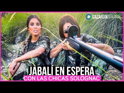 Video: Caza de jabalí en invierno con likes