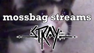 mossbag plays cat game