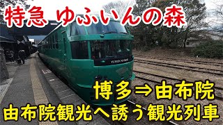 由布院観光へ誘う最高の観光列車！特急ゆふいんの森の魅力を感じる素敵な特急列車の旅