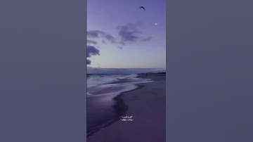 وَيَزِيدُ اللَّهُ الَّذِينَ اهْتَدَوْا هُدًى ۗ|سورة مريم|القارئ عبدالرحمن مسعد.