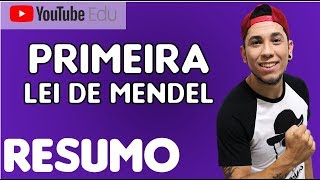 Primeira Lei de Mendel (GENÉTICA) - Prof. Patrick Gomes