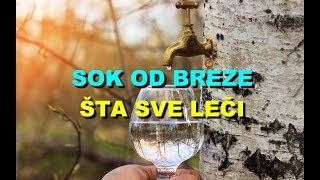 SOK OD BREZE - TA SVE LE?I