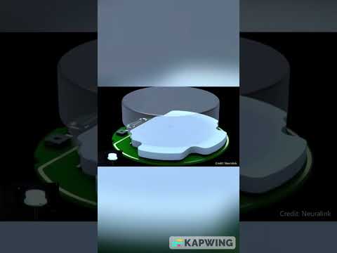 Tech News | Elon Musk Unveils Neuralink Brain Computer Interface