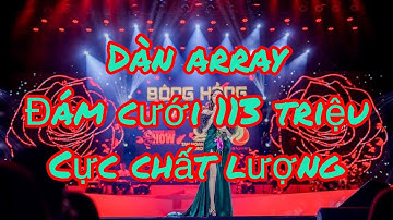 Dàn Array đám cưới giá rẻ FiLL acoustic nguyên com lê 113 triệu lắp đặt toàn quốc 0914999777