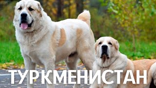 ТУРКМЕНИСТАН | ИНТЕРЕСНЫЕ ФАКТЫ