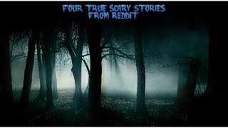 4 True Scary Stories From Reddit (Vol. 31)