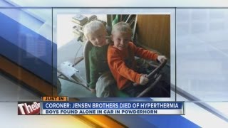 Toddlers left in SUV died of overheating