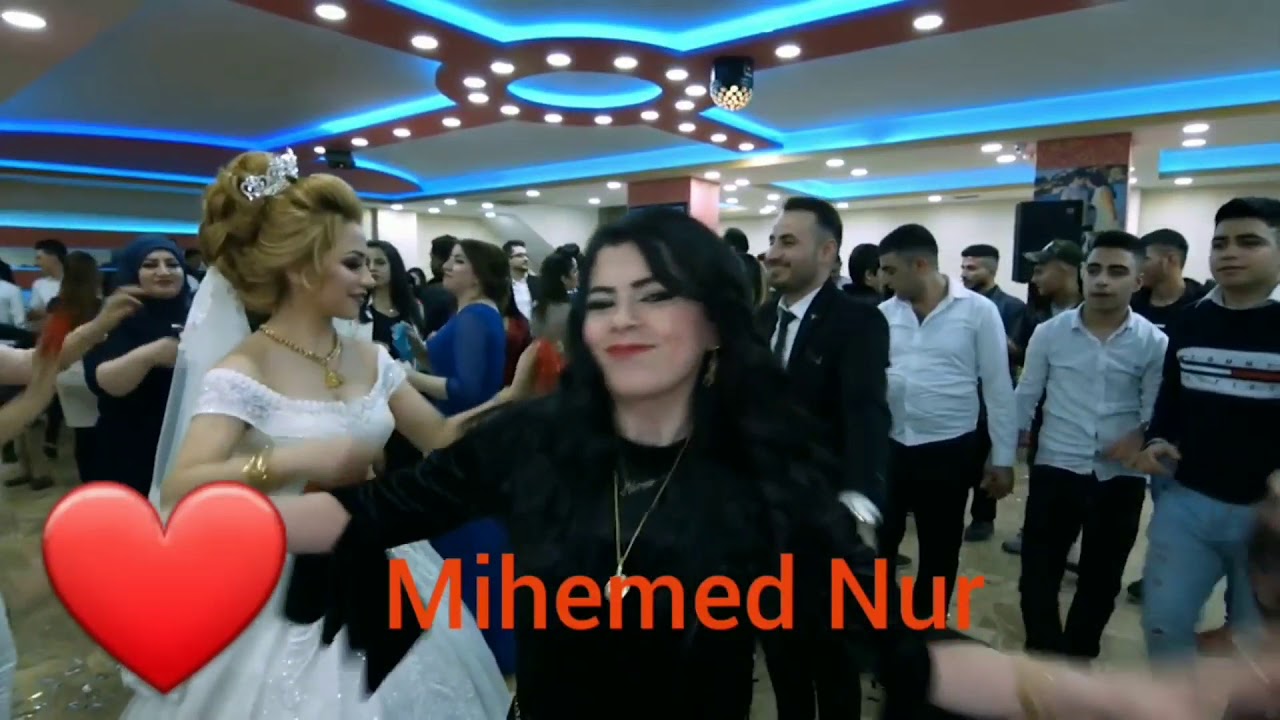 يوميات اسطنبول مع نجمي حفلات الاعراس