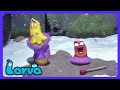 Larva - あったか手袋を見つけたよ！🧤 | 子供アニメ | WildBrain キッズ