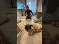 犬飼えないからパパが犬になってみたら泣かせてしまった　#shorts