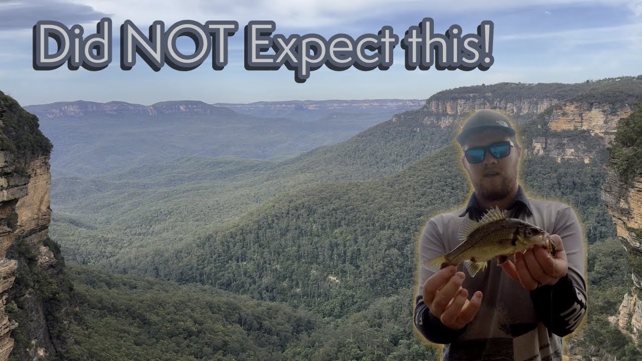 Unexpected Bass in the Blue Mountains | Fishing Wentworth Falls Lake