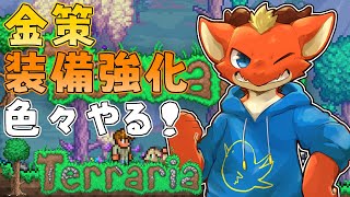 【Terraria】金策、装備強化、アイテム集め、ちっちゃいこと色々やる！【ケモノVtuber】