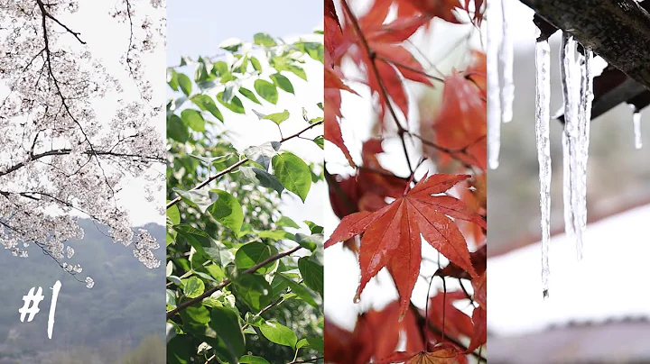 "나의 한 편의 사계절" #1: 한국 시골의 봄 여름 가을 겨울을 담다 - DayDayNews
