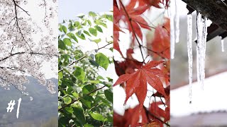 '나의 한 편의 사계절' 그 첫번째 : Collection of Four Seasons in Korea : Episode 01