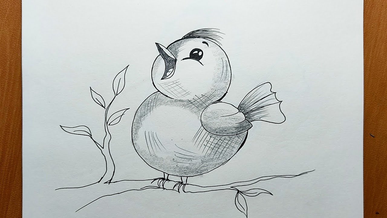 Cute Bird Drawing For Beginners | Easy Step By Step Bird Drawing ...